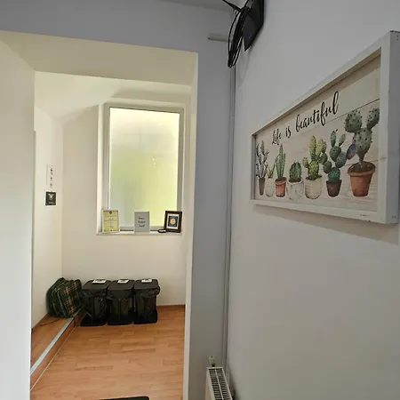 Transsylvanian Wolves Apartment *