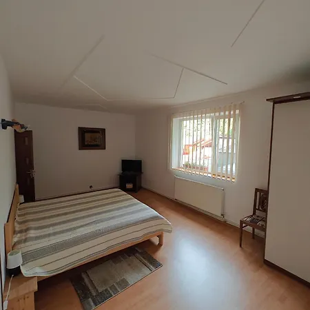Transsylvanian Wolves Apartment Sibiu