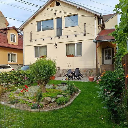 Transsylvanian Wolves Apartment